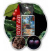 1kg x2 Tayrona + 32 Red Coffee 100% Arabica