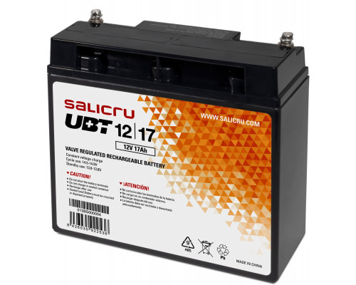 charger emergency UPS Interactive  Salicru 013BS000004 12 V