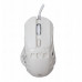 White Shark GM-5016 Ector white