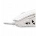 White Shark GM-5016 Ector white