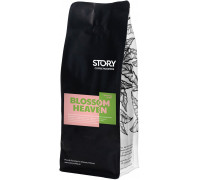 Story Coffee Roasters - Blossom Heaven Morning Brew Filter 1kg