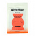 COFFEE PLANT - Gwatemala Huehuetenango Filter 250g