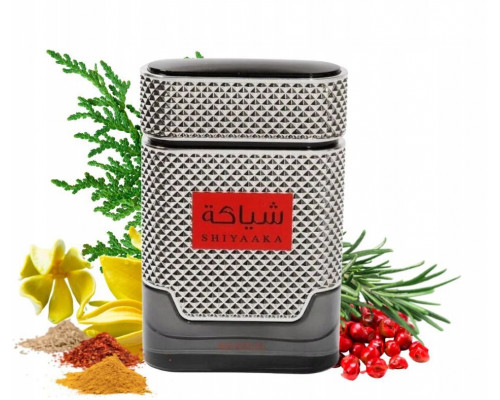 Khadlaj Shiyaaka Men parfémovaná voda pro muže 100 ml
