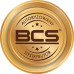 BCS sieciowa kopułowa Point -P-DIP55VSR4-AI2 5Mpx Point