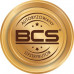 BCS sieciowa kopułowa Point -P-DIP55VSR4-AI2 5Mpx Point