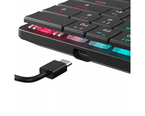 White Shark NAGAMAKI-B-US-RED.SW