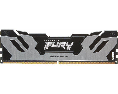 Kingston Fury Renegade, DDR5, 24 GB, 8000MHz, CL38 (KF580C38RS-24)