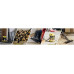 Vacuum Cleaner KARCHER Wet and dry vacuum cleaner WD 3 S V-17/4/20 + 4 FB 1000 Watts Suction power 230W Capacity 17 l Noise 74 dB Yellow Weight 4.8 kg 1.628-152.0