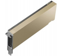 NVIDIA L4 - GPU-Rechenprozessor - L4 - 24 GB GDDR6 - PCIe 4.0 x16 Low-Profile - ohne Lufter