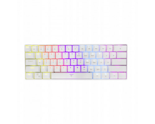 White Shark Shinobi-2 white blue switch