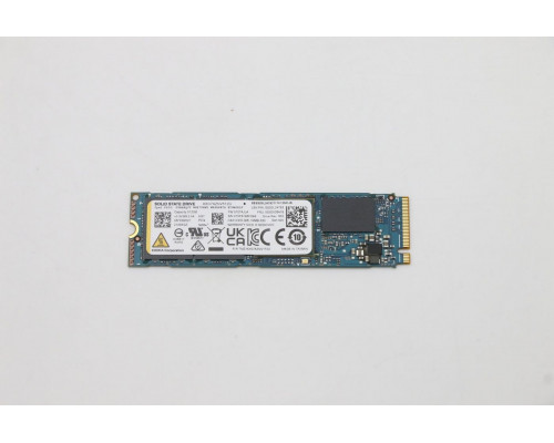 512GB M.2 PCIe NVMe SSD with