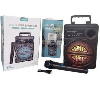 z mikrofonem radio USB