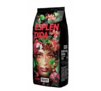 Beans Republic Esplendida 1kg