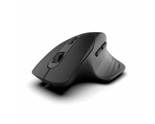 INCA Maus IWM-553S Ergonomisch, wireless, BT1 5.0+BT2 5.0