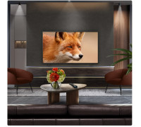 LG OLED evo AI 77 Inch 4K Smart TV, 195.6 cm (77"), 3840 x 2160 pixels, OLED evo, Smart TV, Wi-Fi, Black