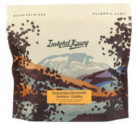 Instytut Kawy Kostaryka Hacienda Sonora - GEISHA Filtr 250g