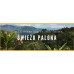 Świeżo Palona Colombia Supremo Don Pablo Quindio Washed 1kg