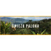 Świeżo Palona Colombia Supremo Don Pablo Quindio Washed 1kg