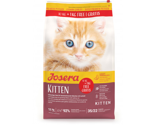 Kitten 10+1kg