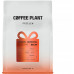 Coffee Plant decaf kawa ziarnista Świąteczny Meksyk Vayichil Washed Filter 250 g