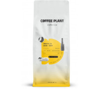 COFFEE PLANT Wine Shot 1kg