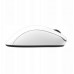 BENQ Zowie Mouse Gaming Gear EC2-DW Glossy