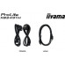 iiyama ProLite XB2491H-B1