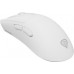 GENESIS Zircon 880 Pro  (NMG-2382)