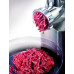 Kenwood MG 700 ( 2000W ; inox )
