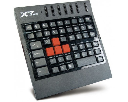 A4Tech G100  (A4TKLA09634)