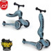 Scoot and Ride Highwaykick 1 Silver (96271)