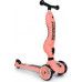 Scoot and Ride Highwaykick 1 Orange (96353)