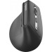 Rapoo EV310M ciemnoszary Wireless Ergonomic Mouse
