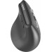 Rapoo EV310M ciemnoszary Wireless Ergonomic Mouse