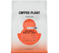 Coffee Plant Gwatemala Arnaldo Lopez 250g (5904800244327)