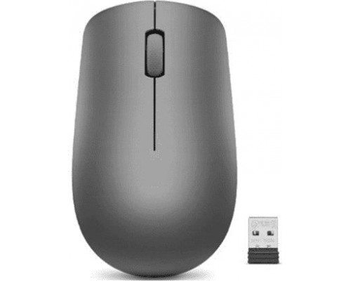 Lenovo 530 Wireless (GY50Z49089)