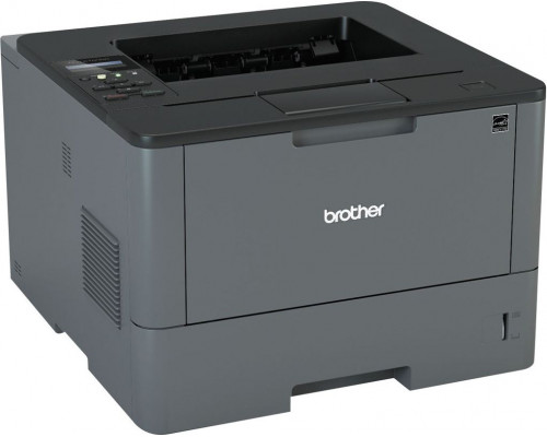 Brother HL-L5100DN (HLL5100DNYJ1)