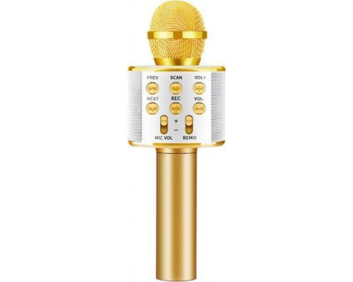 T&G Karaoke - bluetooth złoty