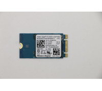 Lenovo SDK 1101 256G M.2 PCIe 2242 SS