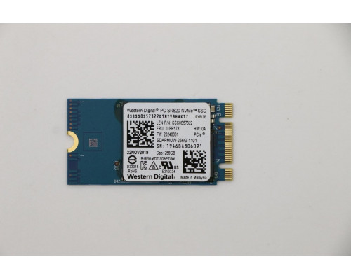 Lenovo SDK 1101 256G M.2 PCIe 2242 SS