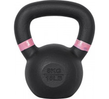 inSPORTline Powder cast iron 8 kg