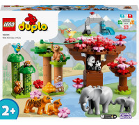 LEGO Duplo Dzikie zwierzęta Azji (10974)