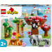 LEGO Duplo Dzikie zwierzęta Azji (10974)