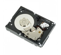 Dell 2TB 3.5'' SAS-1 (3Gb/s)  (R755K)