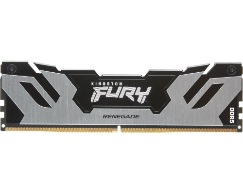 Kingston Fury Renegade, DDR5, 16 GB, 6400MHz, CL32 (KF564C32RS-16)