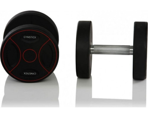 SKO Hanteles GYMSTICK PRO 2x30kg  