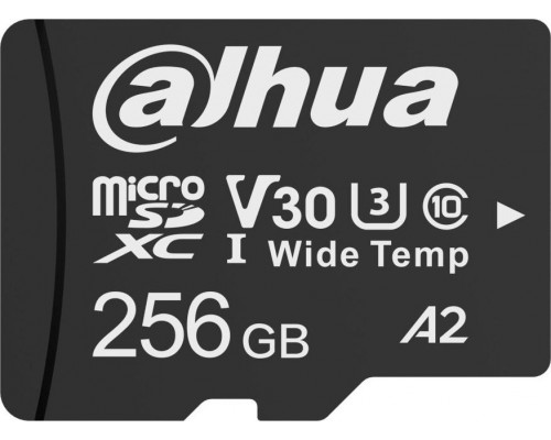 SD  Dahua Technology TF-W100 MicroSDXC 256 GB Class 10 U1 A2 V10 (TF-W100-256GB)