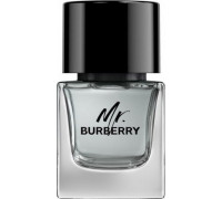 Burberry BURBERRY Mr. Burberry EDT spray 50ml