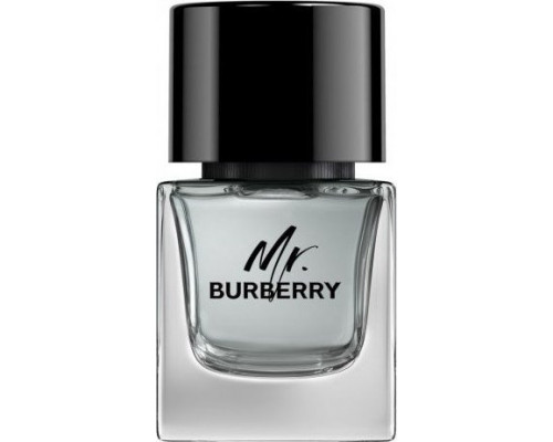 Burberry BURBERRY Mr. Burberry EDT spray 50ml