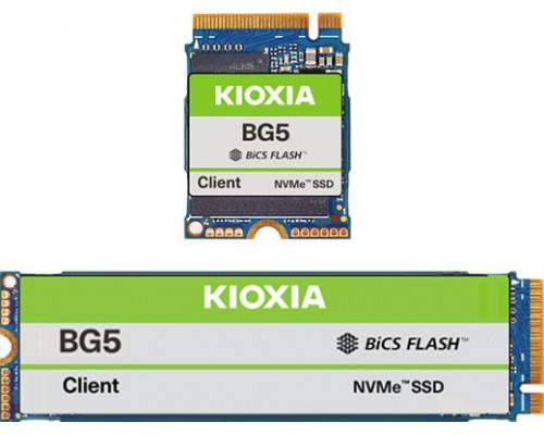SSD  SSD Kioxia KIOXIA BG5 Series KBG50ZNS1T02 - SSD - 1024 GB - Client - intern - M.2 2230 - PCIe 4.0 x4 (NVMe)